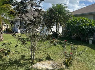 Bush Trimming by Elder Javier for Ilora B. in Port St. Lucie, FL