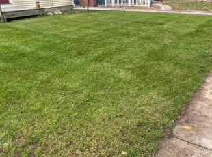 Cleanups by Arisbet Cardoza for Cindy V. in Grand Rapids, MI