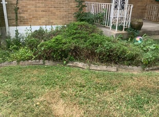 Bush Trimming by Dylan Butler for Mary B. in Cincinnati, OH