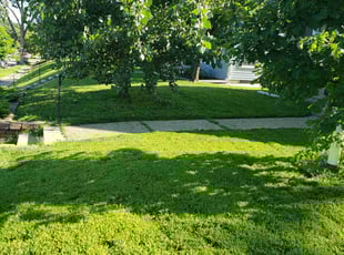 Jeff K.'s Grass Cutting service result