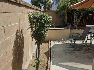 Bush Trimming by Ricardo Garcia for Raynard T. in La Mirada, CA