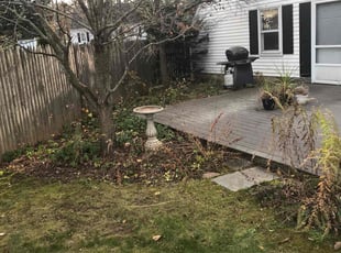 Leaf Removal by Lionel Foster for Richard G. in East Hartford, CT