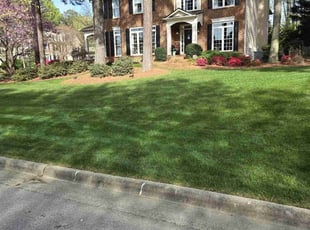 Carrie H.'s Lawn Maintenance service result