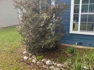Bush Trimming by Jahi Scott for Nicholas A. in Huntsville, AL