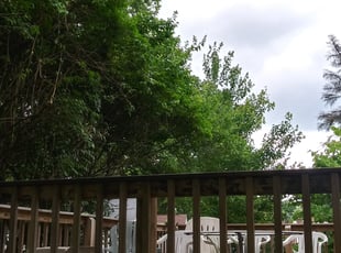 Bush Trimming by Macs Lawn Care Services for Randal W. in Cincinnati, OH