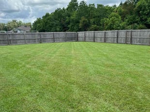Jennifer N.'s Lawn Mowing service result