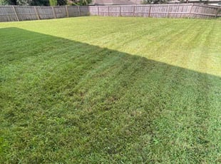 Ronald D.'s Lawn Mowing Service service result