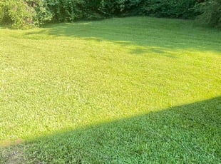Lee B.'s Grass Cutting service result