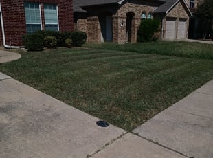 Bush Trimming by Christopher Taylor for Lance D. in Roanoke, TX