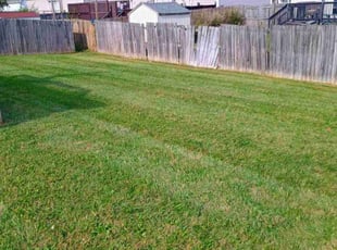 Saarah A.'s Lawn Maintenance service result
