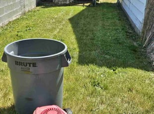 Cleanups by Gordon Grylls for Brooke H. in Lakewood, WA