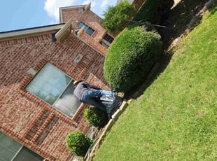 Bush Trimming by Manuel Solis Soto for Shelley C. in Rockwall, TX