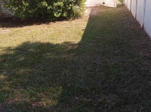 Cleanups by Karol Frisancho for Samantha M. in DeLand, FL