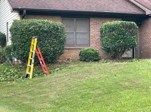Bush Trimming by Nicholas Smith for Tremaine T. in Morrow, GA