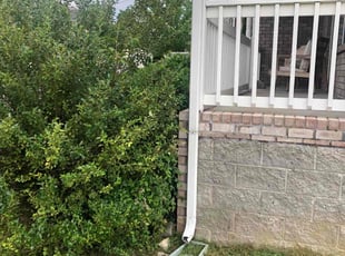 Bush Trimming by Zane Peppers for Briana S. in Nashville, TN