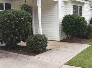 Bush Trimming by Adam Wisdom for Skye J. in Hanahan, SC
