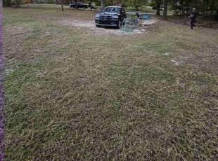 Denise A.'s Lawn Mowing Service service result