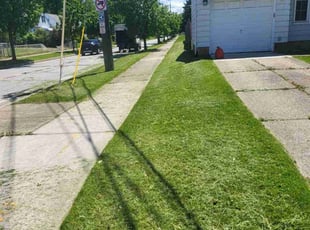 Ronny J.'s Lawn Mowing service result