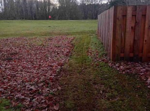 Leaf Removal by Amanda Honeck for Gordon R. in Kent, WA