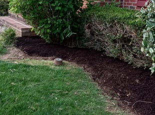 Mulching by Amber Fuentes for Chine-Chine W. in Gaithersburg, MD