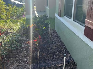 Weeding by Daniel Gonzalez for Karen R. in Haines City, FL