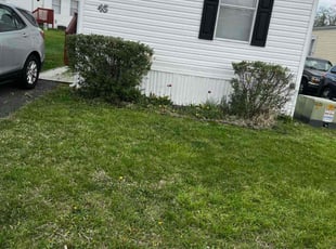Bush Trimming by Michael Gengler for Claudia M. in Edgewood, MD
