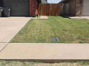 Carrie B.'s Lawn Care service result