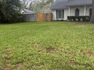Jodi J.'s Lawn Maintenance service result