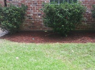 Mulching by Donald George for Carrie S. in Zachary, LA