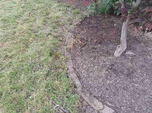 Cleanups by Leroy Green II for Colin H. in Columbus, OH