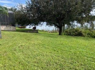 Maryna I.'s Lawn Maintenance service result