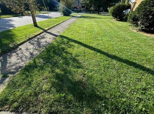 Bridgest D.'s Lawn Mowing Service service result