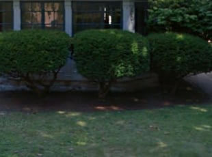 Bush Trimming by Philip Green for Jessica M. in Buffalo, NY