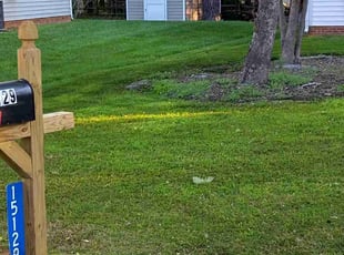 Cleanups by Michael Cherry for Kayla F. in Charlotte, NC