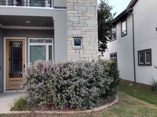 Bush Trimming by Wilmer Guevara for Joe T. in Austin, TX