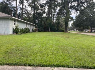 DEJUAN L.'s Lawn Mowing service result