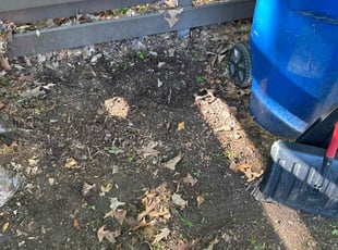 Cleanups by Theodore Weir for Carl W. in Virginia Beach, VA