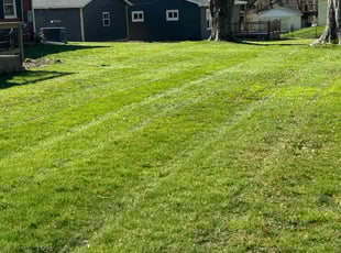 Bev C.'s Lawn Care service result