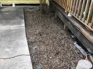 Weeding by Cesar M Garcia for John H. in Corpus Christi, TX
