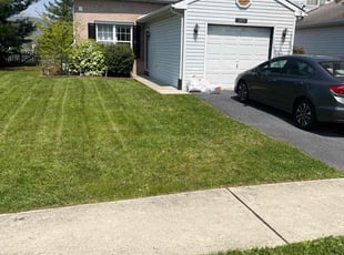 Sharon C.'s Grass Cutting service result