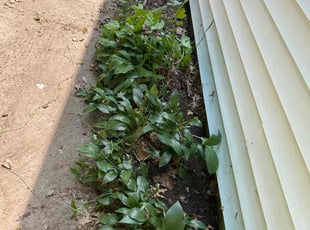 Leaf Removal by Mark Marin for Steven A. in Topeka, KS