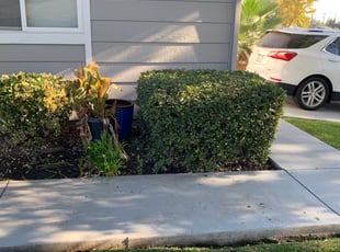 Bush Trimming by Jonathan Allen for Lawrence G. in Citrus Heights, CA