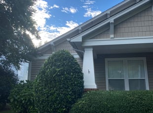 Bush Trimming by Brandon Brewer for Renee B. in Huntersville, NC