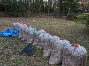 Leaf Removal by Sean Saulsby for Joshua M. in Hampton, VA