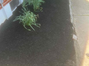 Weeding by Daniel Hostetter for Frankie L. in Elizabethtown, PA
