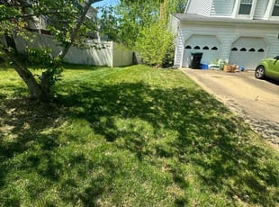 Kirsten R.'s Lawn Mowing service result