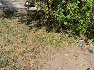 Cleanups by Samuel Jordon for Vernon H. in Baltimore, MD