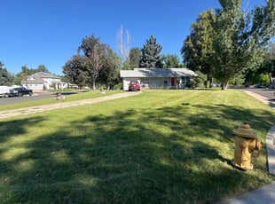 Yuri D.'s Lawn Care service result