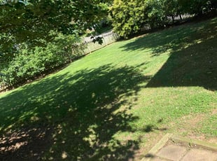 Donald M C.'s Grass Cutting service result