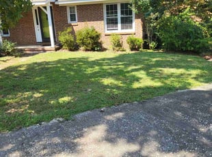 Troy V.'s Yard Cutting service result